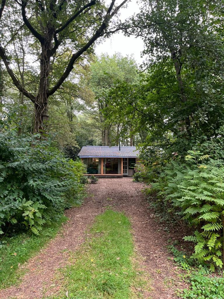 Huisje In Het Bos Zuidlaren Luaran gambar