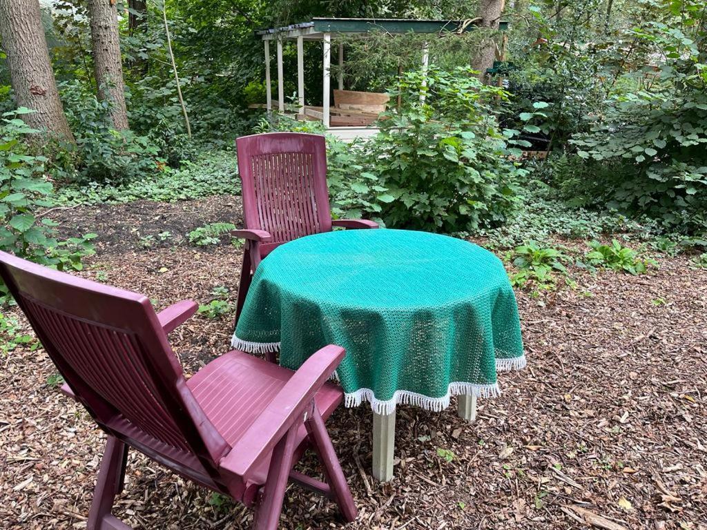 Huisje In Het Bos Zuidlaren Luaran gambar